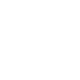 web experts